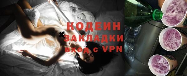 индика Вяземский