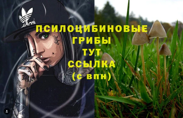 спайс Вязники