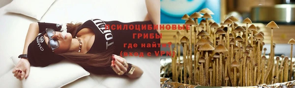 индика Вяземский