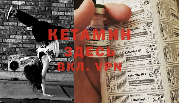 индика Вяземский