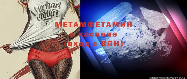 индика Вяземский