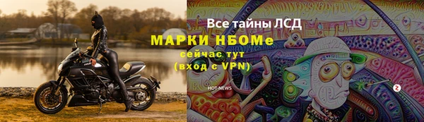 индика Вяземский