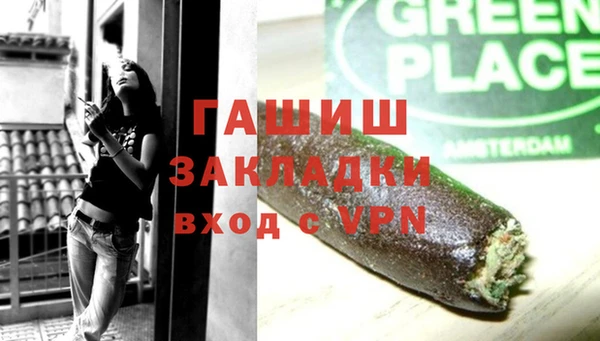 индика Вяземский