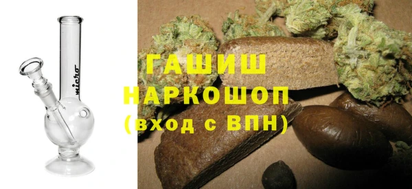 индика Вяземский