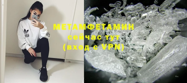 индика Вяземский