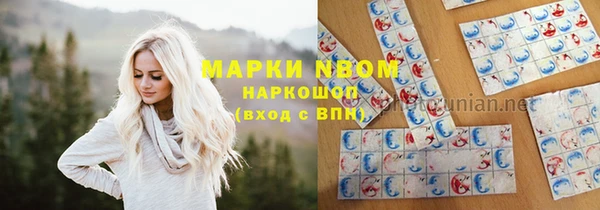 твердый Снежногорск