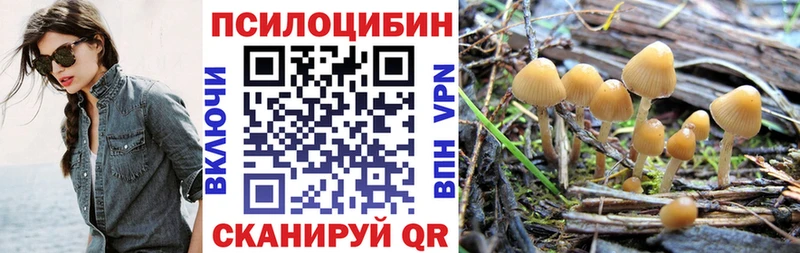 дарнет шоп  blacksprut ТОР  Псилоцибиновые грибы GOLDEN TEACHER  Данков 